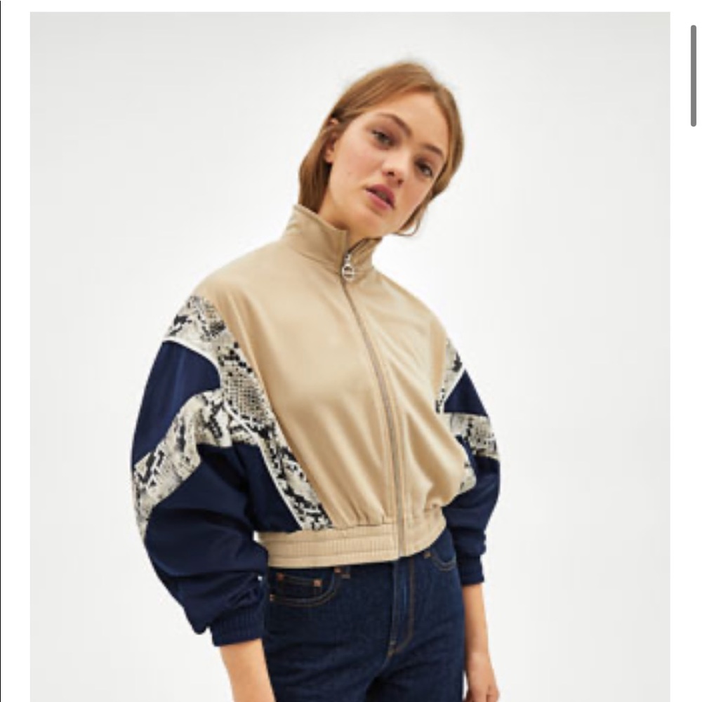 Bershka Jacket - Picture 5 of 5